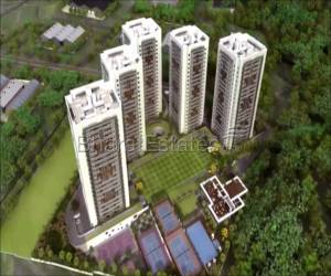 2 bhk Apartment/Flat for rent in Hinjewadi