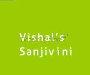 Vishal's Sanjivini