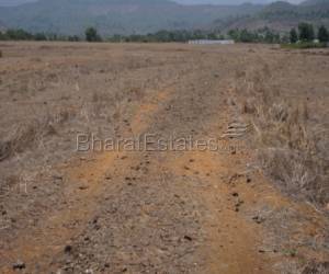 5 Acer 20 Guntha Road Touch Land Sell At kharshet Umroli