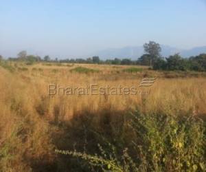 Agriculture land 2 Acer Sell At Ambiwali