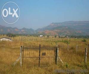 13 acres of land at very affordable rate in Dahanu east - Palghar