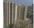 1 bhk Apartment/Flat for sale in Manpada 