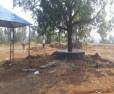 Low Budget In Best Location @Simran Heaven Farm Plots, Murbad