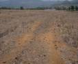 5 Acer 20 Guntha Road Touch Land Sell At kharshet Umroli