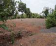 Road Touch Land 1 Acre 28 Guntha Sell At Vaishakhare