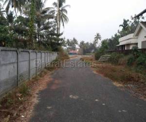 5 cent Plot/Land for sale near Amala, Thrissur
