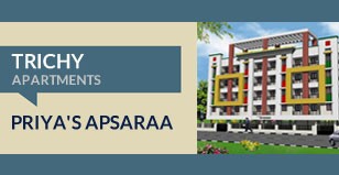 Hot Project - Priya's Apsara