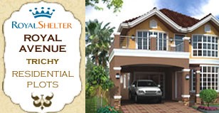 Hot Project - Royal Avenue