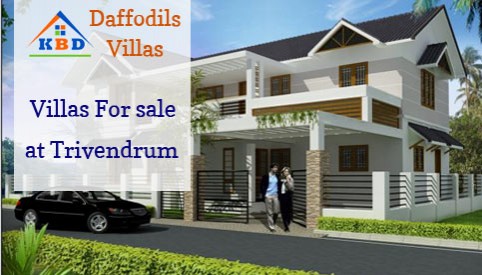 Daffodils - Villas
