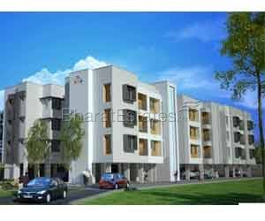 Daffodils - Apartments