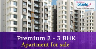 Hot Project - Pratham Bluets