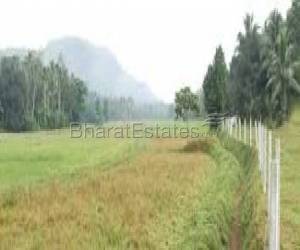 Plot/Land for sale in Bhogapuram