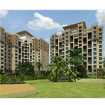 om-developrs-tropica