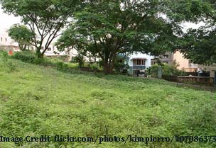 Go-Green-Pune
