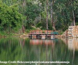 Hyderabad-Botanical-garden