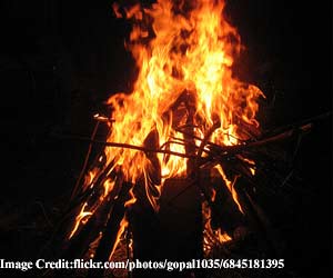 bhogi