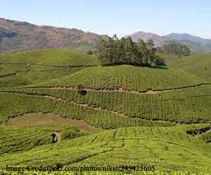 munnar