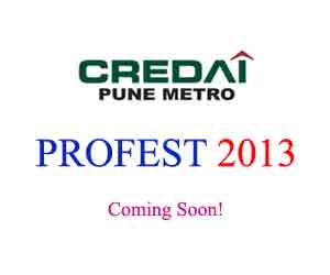 profest-2013-pune