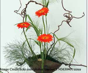 Ikebana
