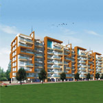 chintamani-the-almonds