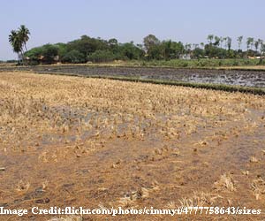 Chennai-land-rec