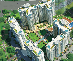 The-Forest-Spa,Faridabad