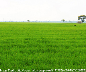farms-in-karnataka