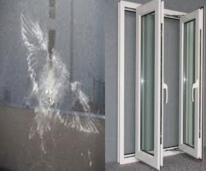 prevent-bird-collision