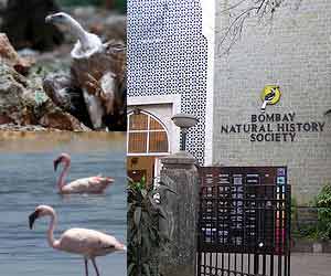 Natural-History-Society