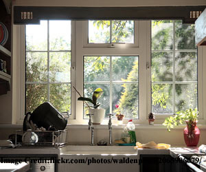 Kitchen-window