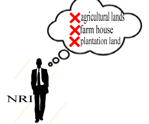 NRI-property-purchase-option