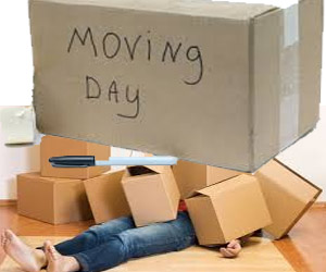 moving-day