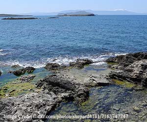salsette-island