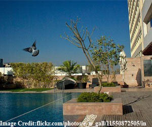 okhla-bird-sanctuary